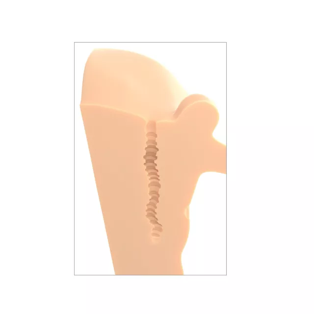 Perfect Ride Hands-Free Masturbator - Light Beige at Spencer's