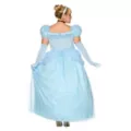 Adult Cinderella Costume - Disney Princess at Spirit Halloween
