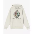 Hogwarts Crest Hoodie - Harry Potter at Spencer's
