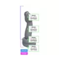 Nathara the Serpent Dildo - Twisted Fantasies at Spencer's