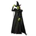 Adult Elphaba Costume Deluxe -  Wicked: For Good at Spencer's