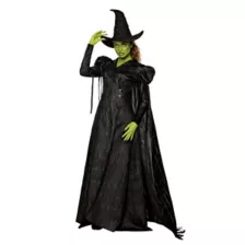 Adult Elphaba Costume Deluxe -  Wicked: For Good at Spencer's