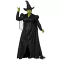Adult Elphaba Costume Deluxe -  Wicked: For Good at Spencer's