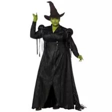 Adult Elphaba Costume Deluxe -  Wicked: For Good at Spencer's