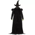 Adult Elphaba Costume Deluxe -  Wicked: For Good at Spencer's