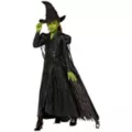 Kids Elphaba Costume Deluxe -  Wicked: For Good at Spencer's