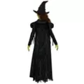 Kids Elphaba Costume Deluxe -  Wicked: For Good at Spencer's