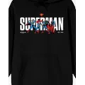 Superman Est. 1938 Hoodie at Spencer's