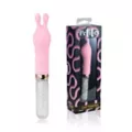 Lil' Cottontail Vibrator - Petites at Spencer's