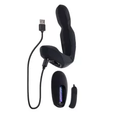 Zero Tolerance Mr. Prostate Vibrator with Remote at Spencer's