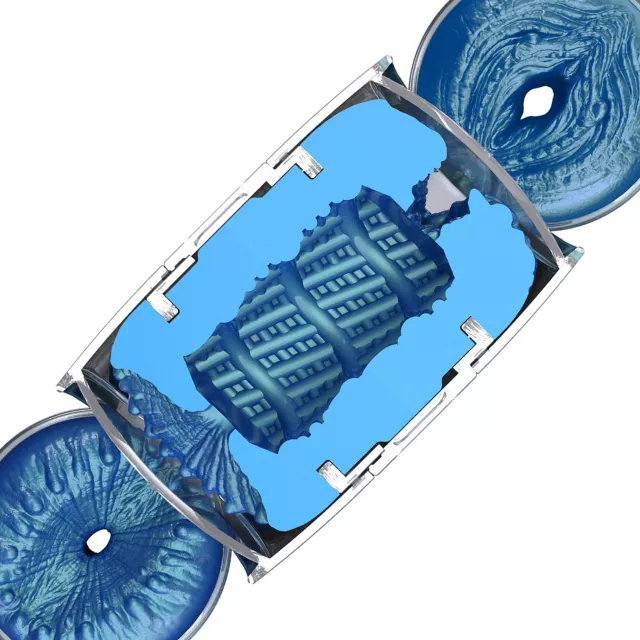 Fleshlight Fantasy Quickshot Alien Lady and Butt at Spencer's