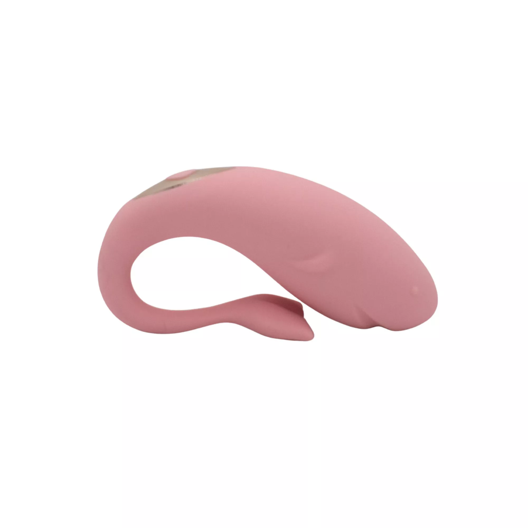 Natalie's Toy Box Orcasm Remote Control Egg Vibrator at Spencer's