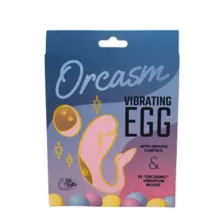 Natalie's Toy Box Orcasm Remote Control Egg Vibrator at Spencer's