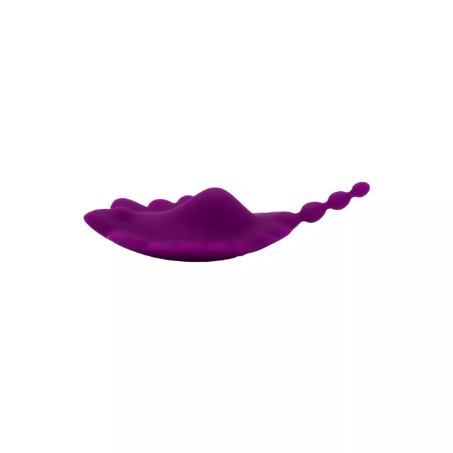 Natalie's Toy Box Shell Yeah Remote Control Panty Vibrator at Spencer's