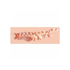 Xkin Career Girls Amber Blowfile Stroker at Spencer's