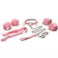 Master Series Kawaii Bondage Set at Spencer's