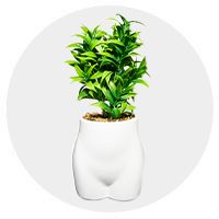 Room Décor