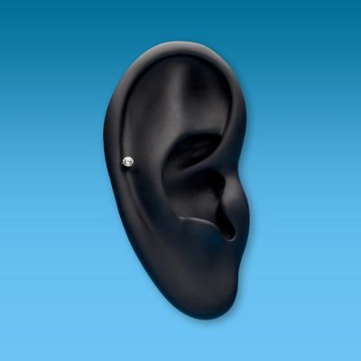 Auricle Piercing Image
