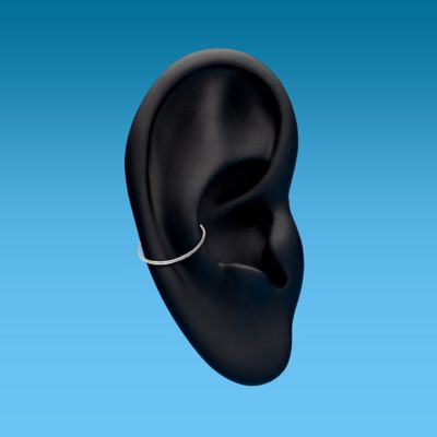 Conch Piercing Image