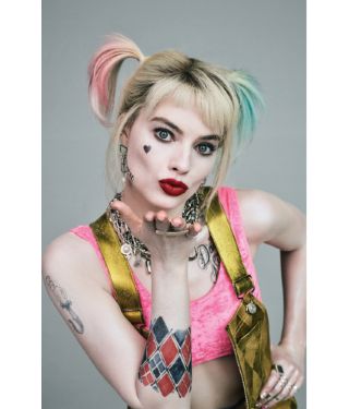 Harley Quinn Birds of Prey costume