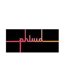 Phluid