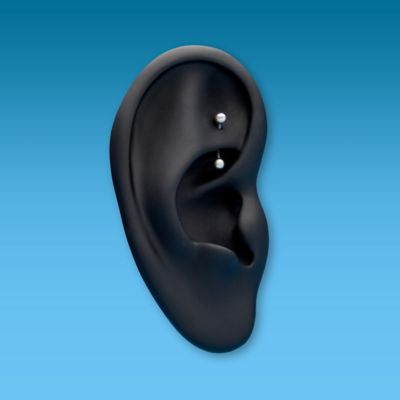 Rook Piercing Image
