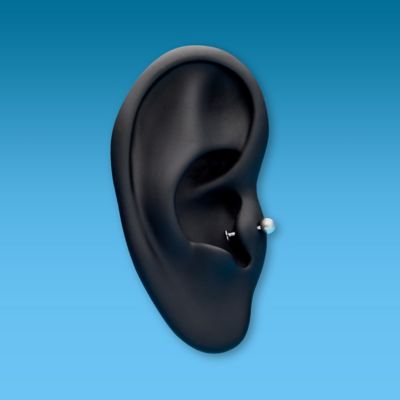 Tragus Piercing Image